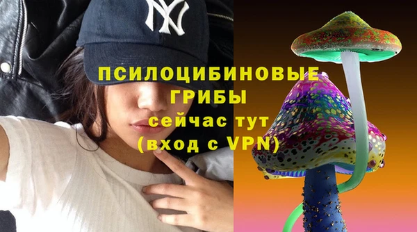 бошки Абаза