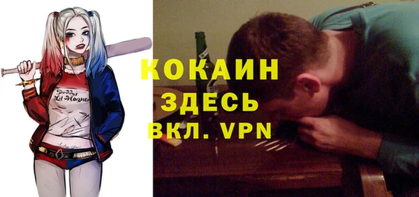 бошки Абаза
