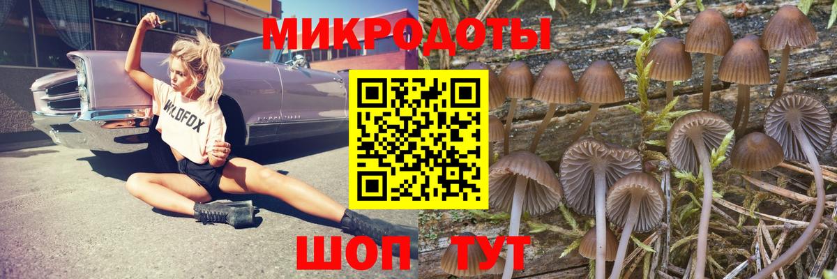 Чебаркуль  Галлюциногенные грибы мухоморы  Галлюциногенные грибы GOLDEN TEACHER  Вход с VPN 