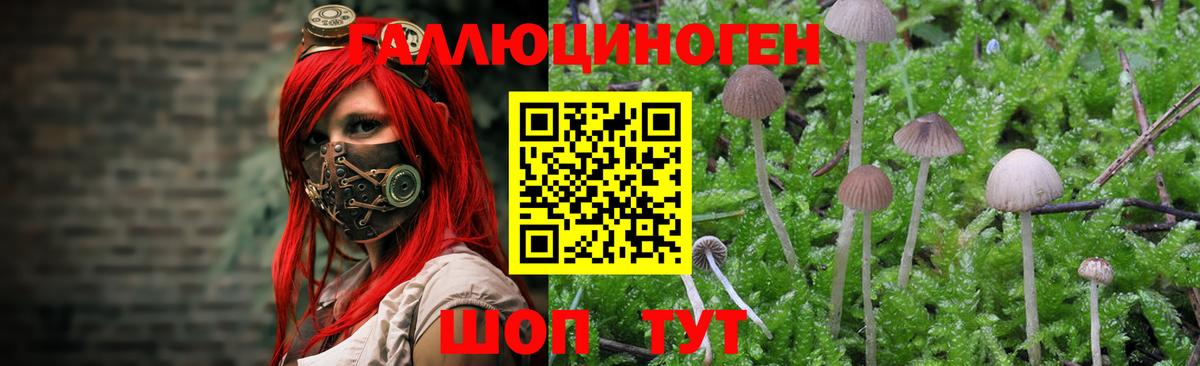 Галлюциногенные грибы Magic Shrooms Чебаркуль